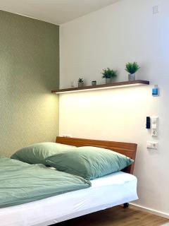 cozy, lovely newly renovated 1 room apartment - 1