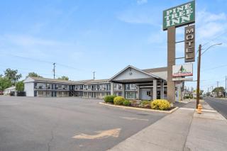 Pine Tree inn - 0