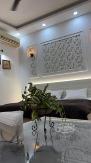 Vox Nest - 3