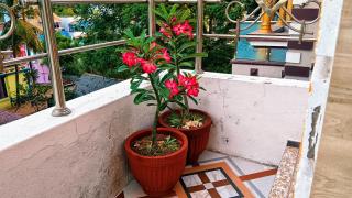 Sri Ram Villa - Rameswaram - 8