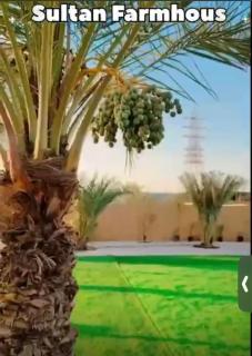 استراحة سلطان Sultan's Rest - 1