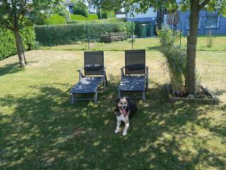 Landhaus Augenblicke in Olsberg - modernes Ferienhaus mit Garten - 7