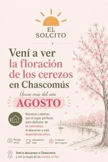 CASA SOL, encantadora casa a dos cuadras de la Laguna, con estufa a leña, pileta y parque en Complejo El Solcito - Chascomús - 9