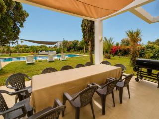 Domaine Palm Oasis Villas & Piscine 25m 6 suites 8 chambres - HomeCity Signature - 4