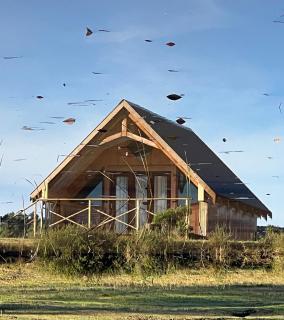 Plett Yellowwood Tiny House -  - 8