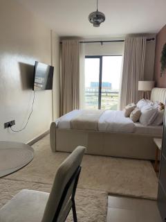 Terra Luxe Studio Mombasa road With Rooftop pool and gymn - 3