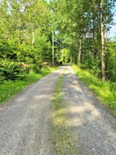 Scandinavian forest retreat - 7