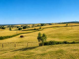 Carpe Diem House - Family Home - Countryside View - 6