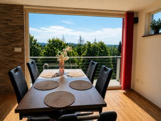 Ski- und Wanderurlaub im Wald Ferienhaus Adlerblick - 3