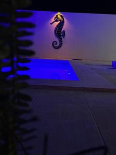 Deniz Atı Tatil Evleri - 3