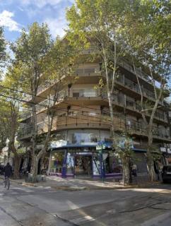 Apartamento Monte Grande Centro - 6