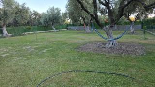 Miarla Rooms - Borsh - 1