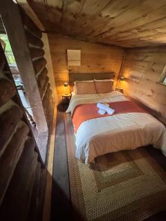Cozy Rustic Cabin with Scenic Views - 1