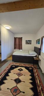 Ferienwohnung-Edna-Traunkirchen - 9