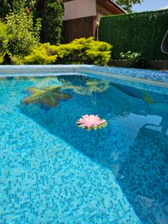 Outbreak 3 bedroom house with outdoor pool, BBQ and dining in Pirita - 5