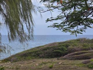 Les Alizés 2 Studio vue sur la mer des Caraîbes - 4