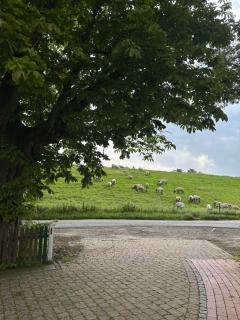 Reet-Denkmal am Elbstrand - 7