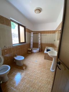 Ankor view - 1