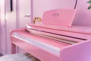 The Pink Palace, Rooftop Deck, Bachelorette HQ - 9