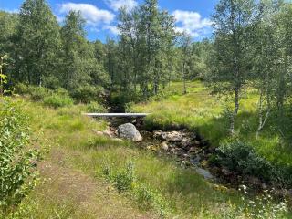 Sirdal - 8