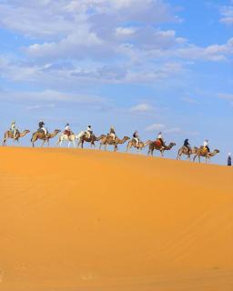 Merzouga DuneVista Camp - 2