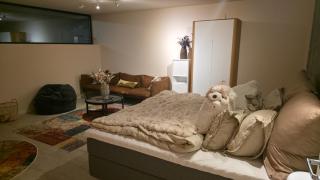 ONS 2026 Luxury Designer Villa with Private Pond, 4 bedrooms, 3 bathrooms - 6
