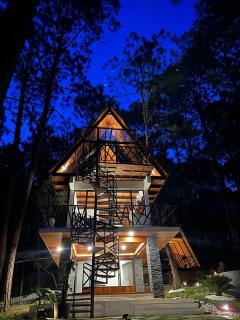 Santuario de Lujo entre Tigres y Bosque - 8