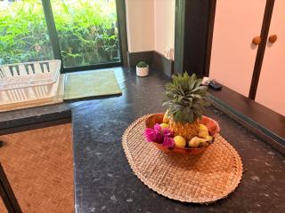 Moorea Cook Bay Rental - 1