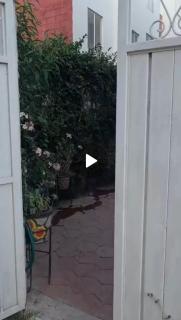 San Juan del Río Qro, Mexico y Cerca Tequisquiapan, - 3