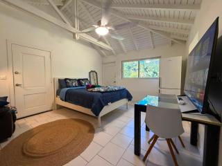 Studio apartment near Friar's Bay beach - 9