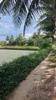 Lockhang homestay - 2
