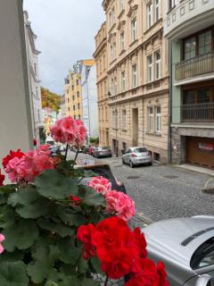 Oasis Valley Karlovy Vary Center - 6