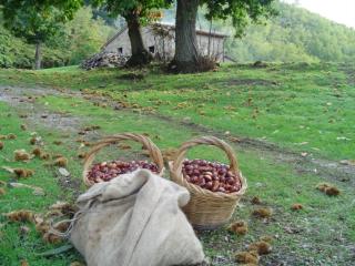 Agriturismo Sorripe - Montelaterone - 2