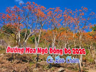 Quỳnh s House - 7