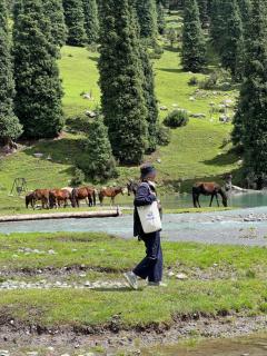 Nomad Yurts in Kyrchyn - 7
