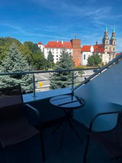 Park Hotel & Restauracja Browar Brzeg - 8