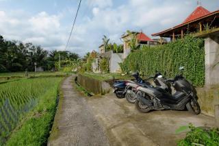 Casa wooden villa - Ubud - 6