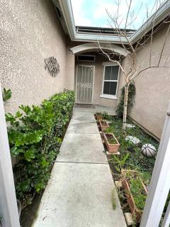 The Sunnyside Sanctuary - 6