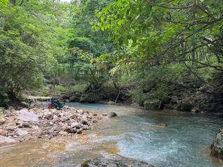 くじゅうみんなの森201号-満天の星空と小川のせせらぎ-一人旅に最適 - 7
