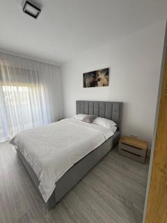 Malvina Apartments Cazare Mures - 8