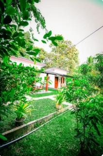 Pinnacle Safari Resort - 3