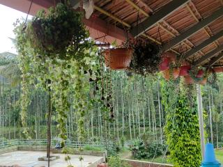 Kordi Estate Stay - 3