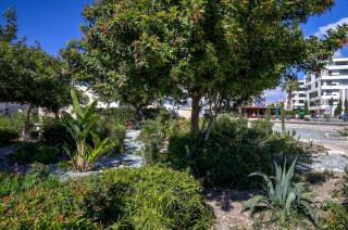 Orange Tree Studio - 9