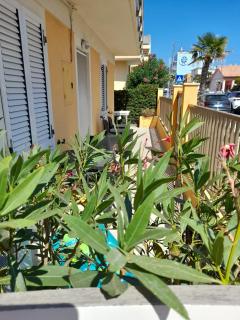 Levante Seafront - Casa Casoni - 6