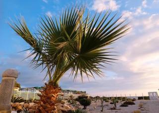 B&B La Torre - 6