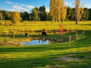 Willow Highland Farm Stay - 3