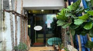 RAINFOREST Budget Stay - 7