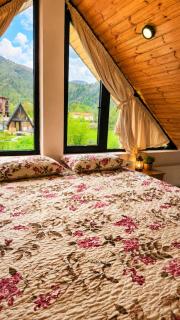 Borjomi inn chalet - 1