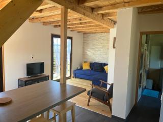 Quiet chalet with private pool near Lake Geneva - 3