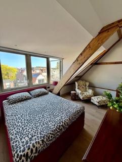 Parklane Seven - luxurious accommodation in central Haarlem - 3